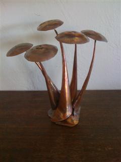 long stemmed copper mushroom cluster